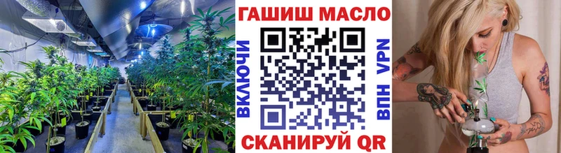 купить  цена  Снежногорск  ТГК THC oil 