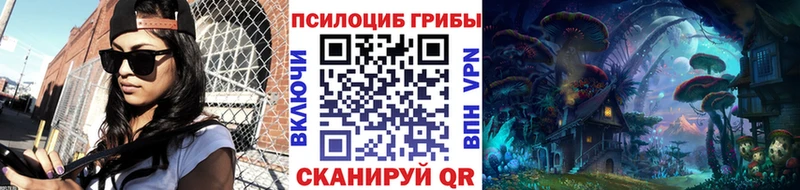 Галлюциногенные грибы Cubensis  купить наркоту  Снежногорск 