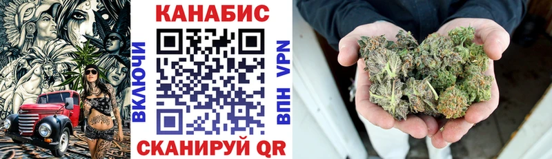 Каннабис сатива где продают Снежногорск